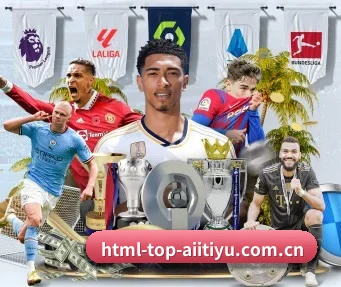 html-top-aiitiyu.com.cn APP